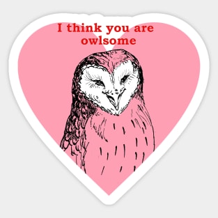 You are owlsome Sticker